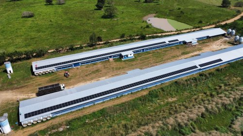 Granja Patativa - São Gonçalo dos Campos